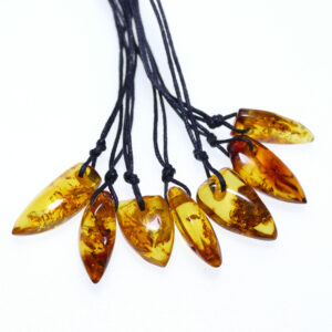 Baltic amber tooth pendant wholesale - Wolf fang pendant